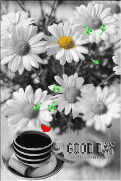Black And White Daisies With Coffee Says Good Day Cafe Coffee Bar GIF
