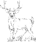 Black And White Deer In Grass Sticker