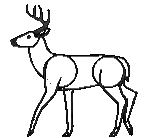 Black And White Deer Standing On Hind Legs Sticker