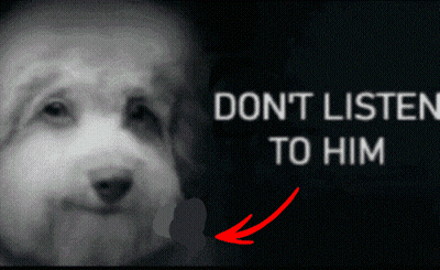 Black And White Dog Don't Listen To Him GIF