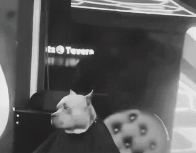 Black And White Dog In Front Of Tavern Sign GIF