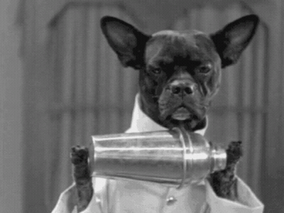 Black And White Dog In Lab Coat Holding Shaker GIF