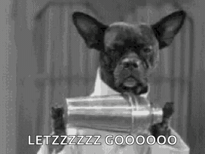 Black And White Dog In Suit Holding Can GIF
