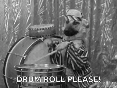 Black And White Dog Playing Drum Drum Roll Please GIF