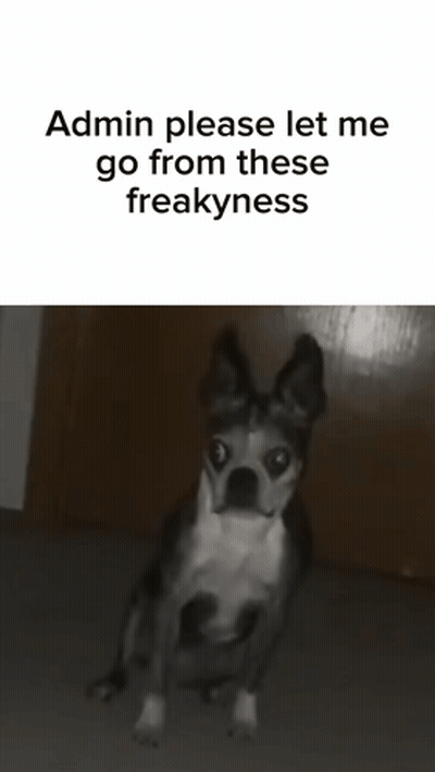 Black And White Dog Please Let Me Go GIF