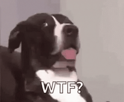 Black And White Dog Saying Wtf GIF