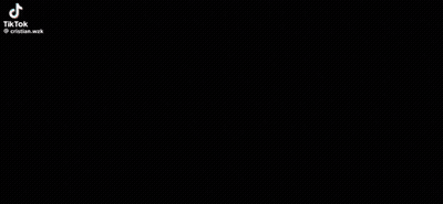 Black And White Dog Standing Next To Letter N GIF