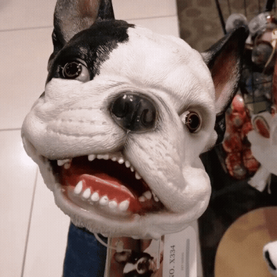 Black And White Dog Statue With No X334 Tag GIF