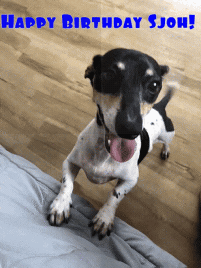 Black And White Dog Tongue Out Happy Birthday Sjoh GIF