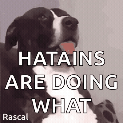 Black And White Dog Tongue Out Saying Hatains GIF