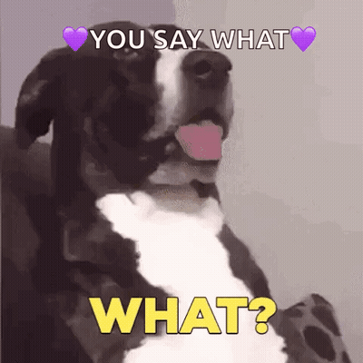 Black And White Dog Tongue Out Says What GIF