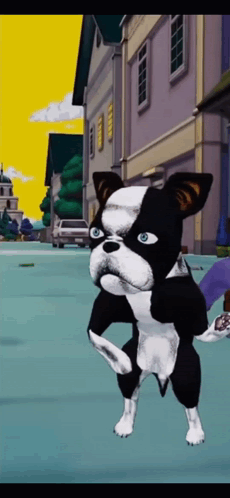 Black And White Dog With Blue Eyes Standing GIF