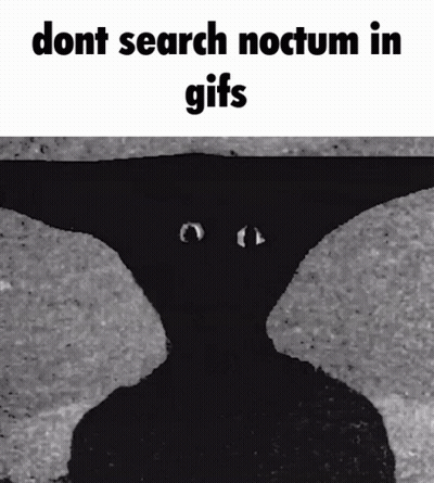 Black And White Dont Search Noctum In Gifs GIF