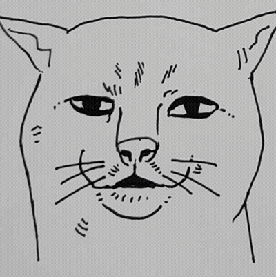 Black And White Drawing Of A Cat 'S Face GIF