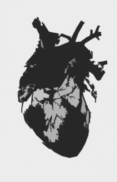 Black And White Drawing Of Human Heart GIF