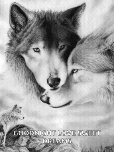 Black And White Drawing Of Two Wolves Kissing GIF