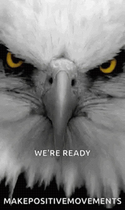 Black And White Eagle Head On Blue Background GIF