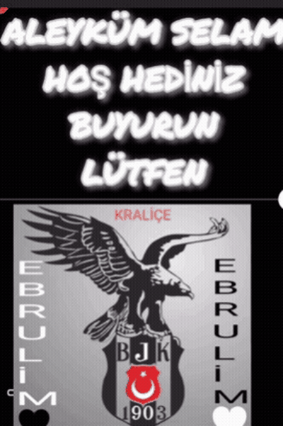 Black And White Eagle With Bjk 1903 GIF