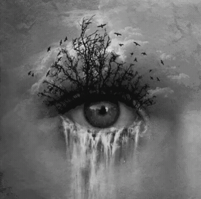 Black And White Eye With Tree Inside GIF