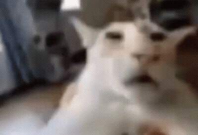 Black And White Face On Computer Screen GIF