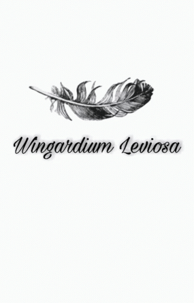 Black And White Feather Wingardium Leviosa GIF