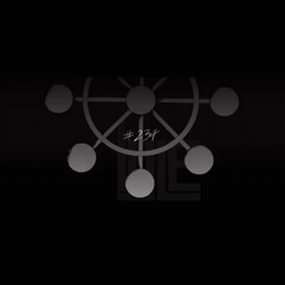 Black And White Ferris Wheel With Number 234 GIF