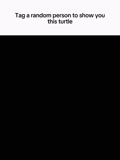 Black And White Fish Tag A Random Person GIF