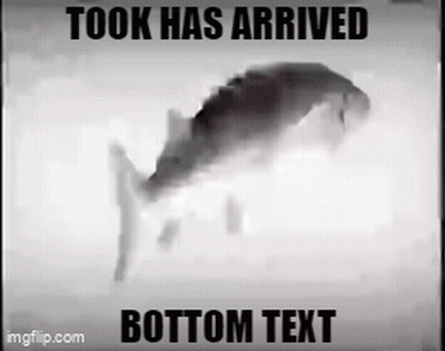 Black And White Fish Took Has Arrived Bottom Text GIF