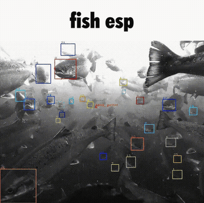Black And White Fish With Fish Esp GIF