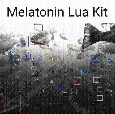 Black And White Fish With Melatonin Lua Kit GIF