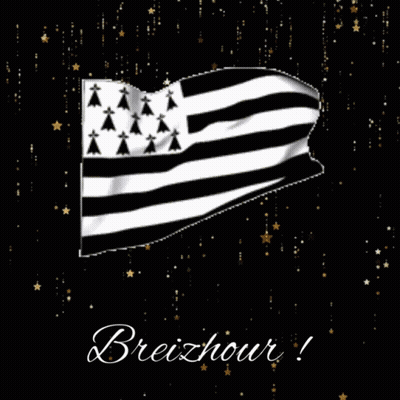 Black And White Flag With Breizhhour GIF
