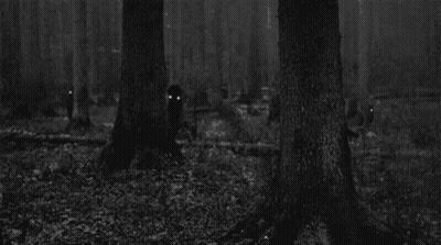 Black And White Forest At Night GIF
