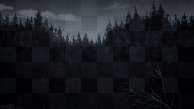 Black And White Forest With Trees GIF
