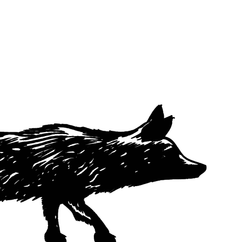 Black And White Fox Walking Sticker