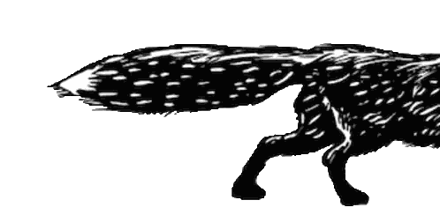 Black And White Fox With Whatthefox Text Sticker