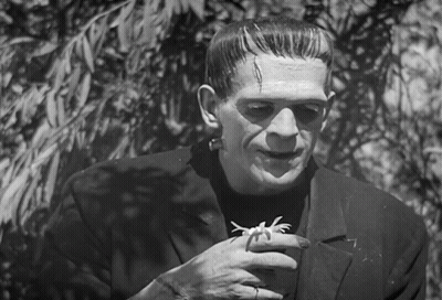 Black And White Frankenstein Holding Spider GIF