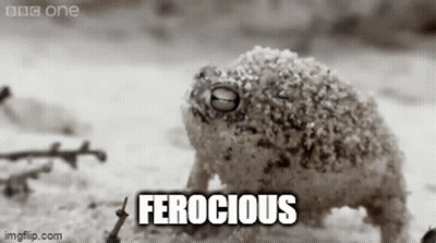 Black And White Frog Saying Ferocious GIF