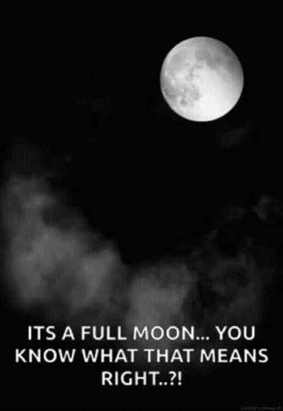 Black And White Full Moon It's A Full Moon You Know What That Means Right GIF