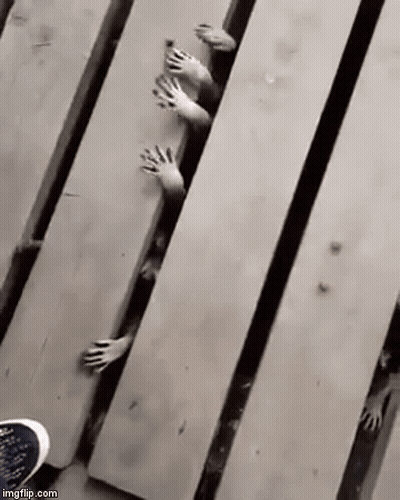 Black And White Hands Sticking Out Of Wooden Plank GIF