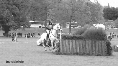 Black And White Horse Jumping Over Fence Invisible Pole GIF