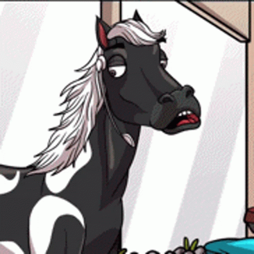 Black And White Horse Standing GIF