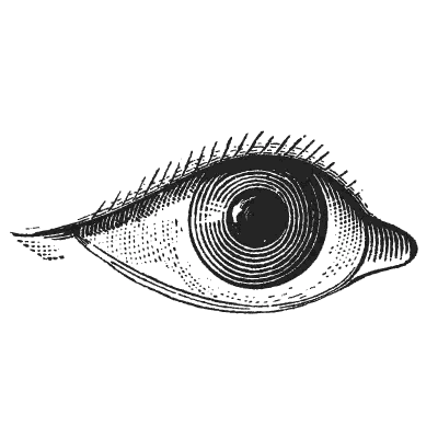 Black And White Human Eye With Long Eyelashes Sticker