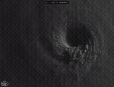 Black And White Hurricane GIF