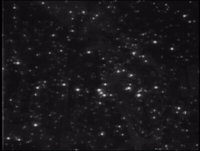 Black And White Image Saying The End GIF