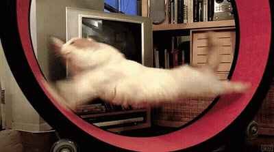 Black And White Infinite Loop Drawing GIF