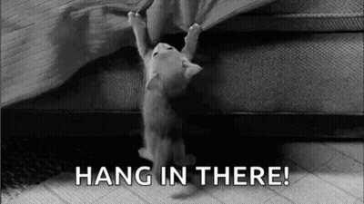 Black and White Kitten Hanging From Bed