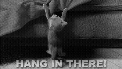Black and White Kitten Hanging on Couch Saying Hang in There