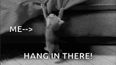 Black And White Kitten Hanging Upside Down From Couch GIF
