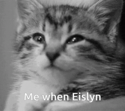 Black And White Kitten Me When Eislyn GIF