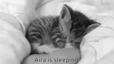 Black And White Kitten Sleeping Aira Is Sleeping GIF